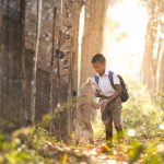 Купить диплом фармацевта в Москве быстро и удобно image_1111-217.jpg