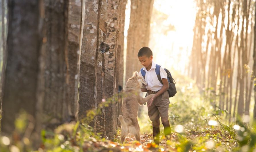 Купить диплом фармацевта в Москве быстро и удобно
